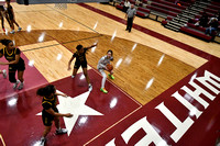 Whitehouse Girls vs Mt. Pleasant